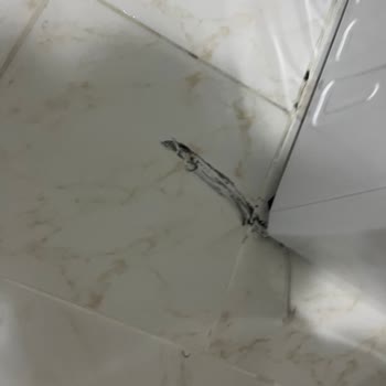 Vestel Çamaşır Makinesi Sorunları Çözülmüyor, İade İstiyorum