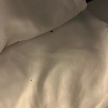 Hijyen Sorunları Ve İlgisizlik