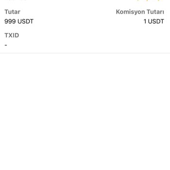 Bitci Borsasında USDT Çekim Sorunu Ve Çözüm Eksikliği