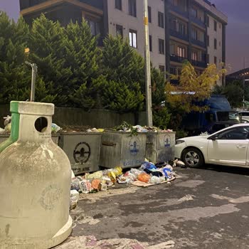 Aydınevler Mahallesi'nde Çöp Sorunu Ve Kötü Koku