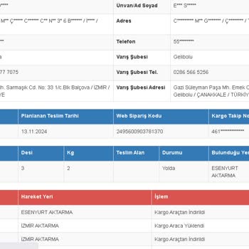 Kargo Teslimatındaki Sürekli Gecikme