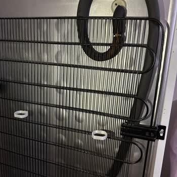 Arçelik Derin Dondurucu: Üretim Hatası Ve Müşteri Mağduriyeti