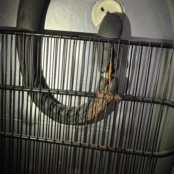 Arçelik Derin Dondurucu: Üretim Hatası Ve Müşteri Mağduriyeti