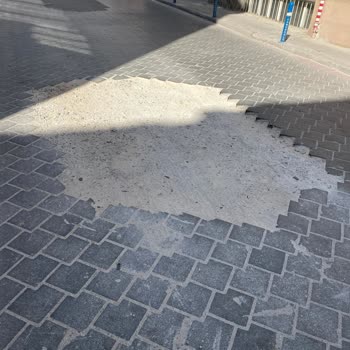 Yol Çalışması Sonrası Toz Sorunu Ve İlgisizlik
