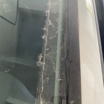 Yol Çalışması Sonrası Toz Sorunu Ve İlgisizlik