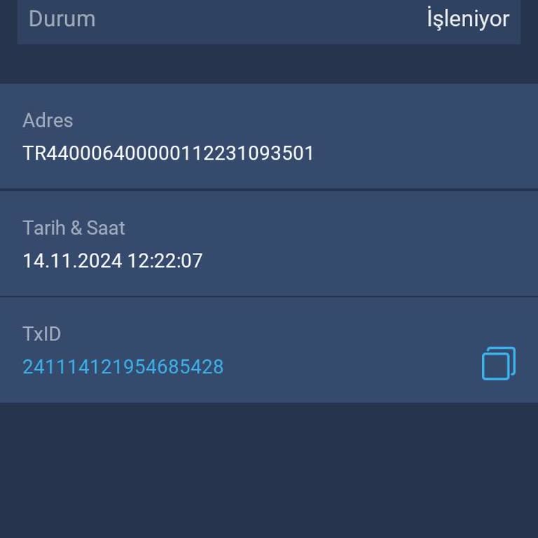 Bitexen'de İşlem Süresi Sorunu