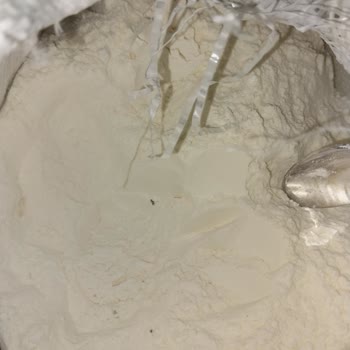 Güvendiğimiz Un Markasında Böcek Şoku