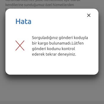 Eve Shop Kargo Sorunu: Teslim Edilmeyen Paket Ve İletişim Problemi