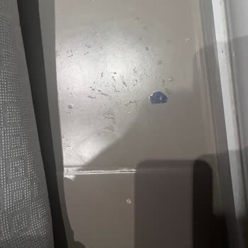 Boyanın Kalitesizliği Ve İlgisizlik Sorunu