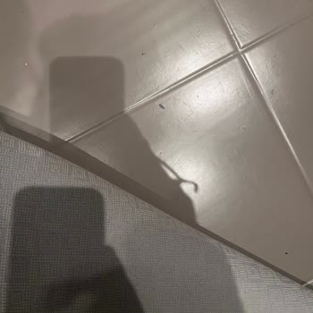 Boyanın Kalitesizliği Ve İlgisizlik Sorunu