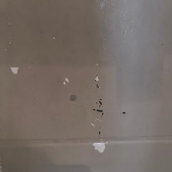 Boyanın Kalitesizliği Ve İlgisizlik Sorunu