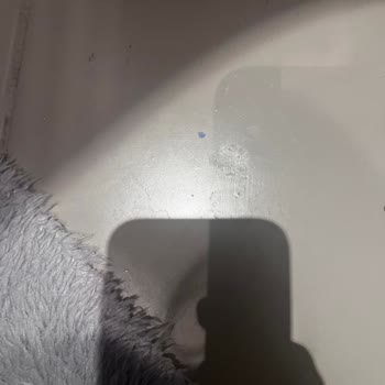 Boyanın Kalitesizliği Ve İlgisizlik Sorunu