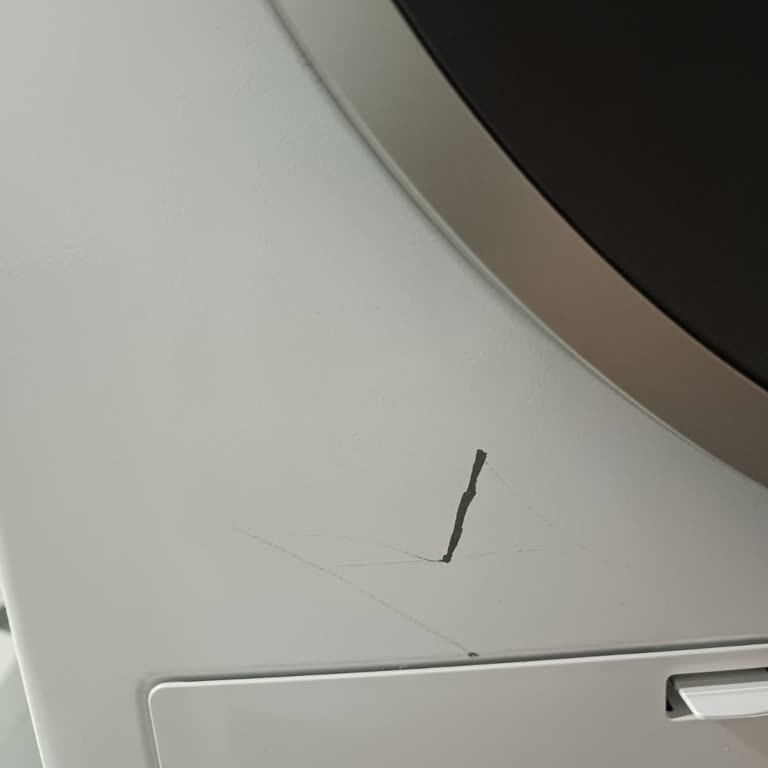 Bosch Çamaşır Kurutma Makinesi: Çizik Ve Boya Sorunu