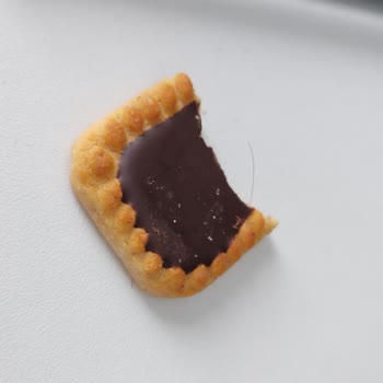 Bisküvi Deneyiminde Beklenmedik Durum