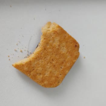 Bisküvi Deneyiminde Beklenmedik Durum