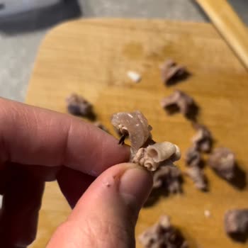 Migros'tan Aldığım Et Kıkırdak Dolu Çıktı