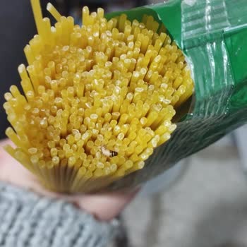 Pastavilla Güvendiğim Markadan Şok: Makarnadan Kurt Çıktı