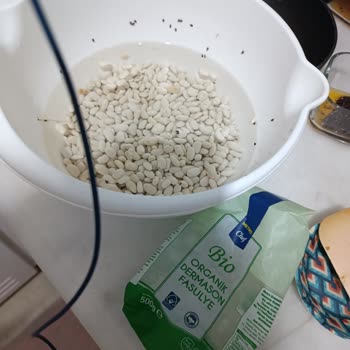 Böceklenmiş Kuru Fasulye Ve Yetersiz Müşteri Hizmetleri