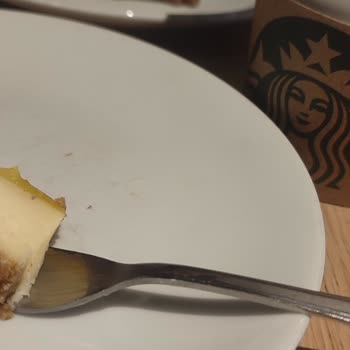 Starbucks Zitronen-Cheesecake mit Insekt – echt schockierende Erfahrung