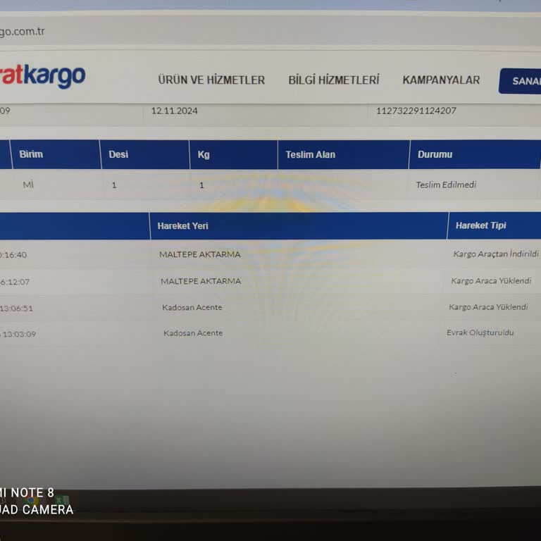 Kayıp Kargo: Teslimat Sorunu