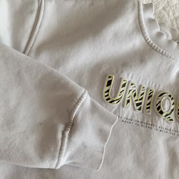 Renk Veren Ürün Sorunu