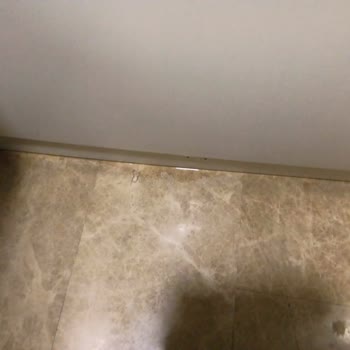 Ramada Otel: Hayal Kırıklığı Ve Hijyen Sorunları