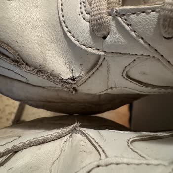 Garantili Ayakkabı Hayal Kırıklığı: Skechers Müşteri Memnuniyetsizliği