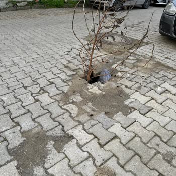 Ünye'de Tehlikeli Sokak: Acil Yenileme İhtiyacı