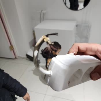 Alarm Sistemi Güvenlik Sorunları Ve Pronet'in İlgisizliği