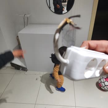 Alarm Sistemi Güvenlik Sorunları Ve Pronet'in İlgisizliği