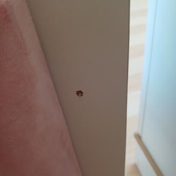 Palmera'dan Aldığımız Mobilyalar Hayal Kırıklığı Yarattı
