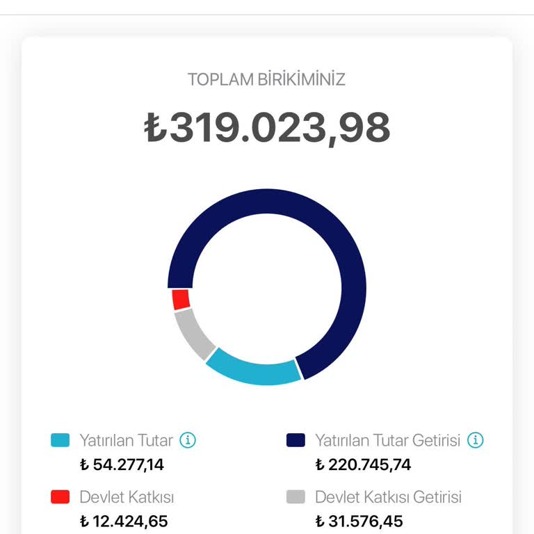 BES Yatırımlarında Beklenmedik Kayıplar