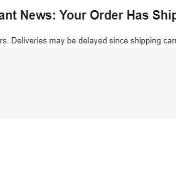 longchamp-turkey.com Uzun Süreli Teslimat Gecikmesi Ve İade Talebi