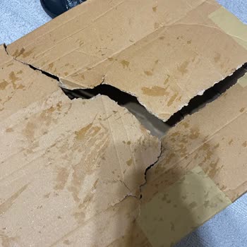 LCW Online Alışverişte Kötü Teslimat Ve Kargo Sorunu