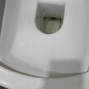 Kale Hijyen Klozet Takımındaki Sorunlar Ve Yetersiz Müşteri Hizmeti