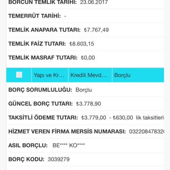 Varlık Fonları Borç Silme Sorunu