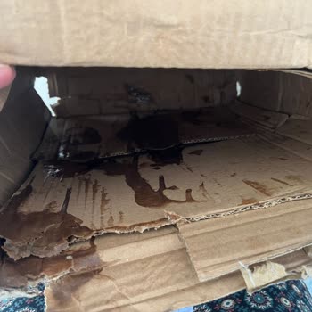 İndirimli Ürünlerin Hasarlı Gelmesi Ve İade Sorunu