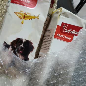 Ulaşılamayan Müşteri Hizmetleri: Mağduriyetin Giderilmesi Gerekiyor