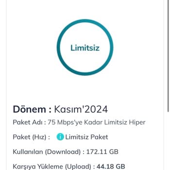 İnternet Hızı Kabusu: Çözüm Bekleyen Sorun!