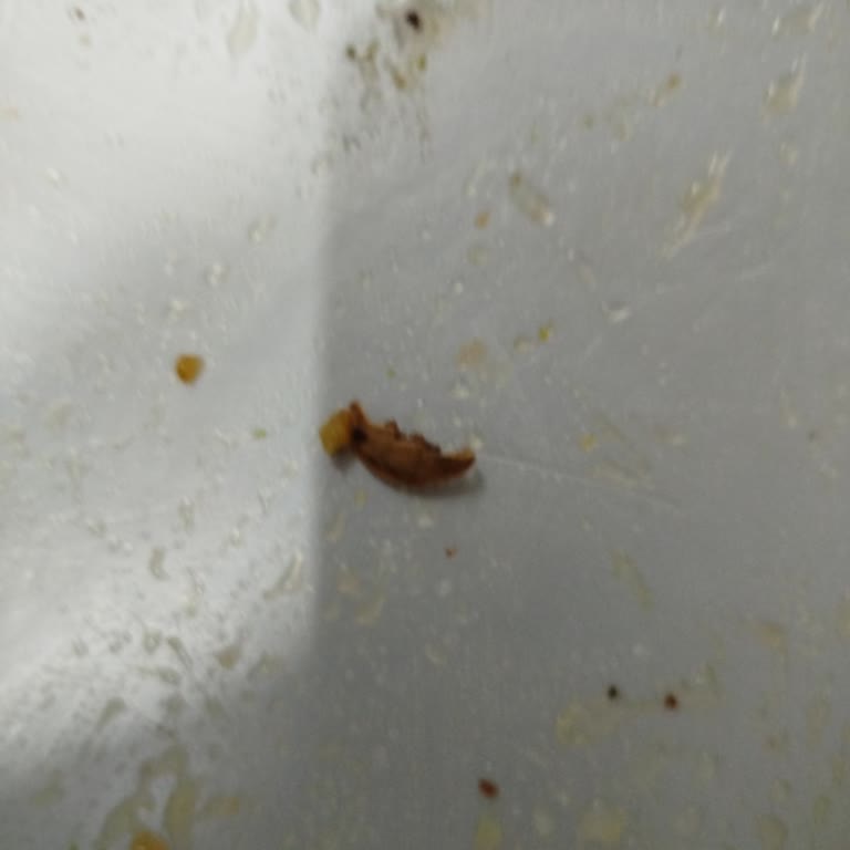 Musluoğlu Baklava'da Hijyen Sorunu: Ürün İçinden Çıkan Tırnak