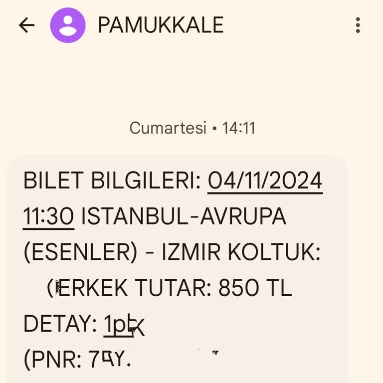 Pamukkale'nin Mola Krizi: Acil Durumda Bile Durmayan Otobüs