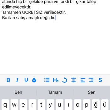 Ücretsiz İlan Verme Sorunu