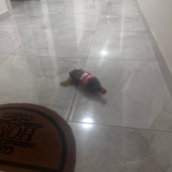 Trendyol GO Siparişimde Tehlikeli Kurye Davranışı