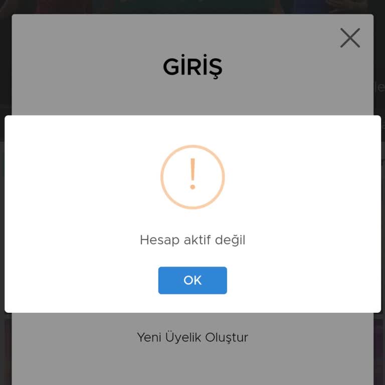 Hesap Erişim Sorunu Ve Para Çekme Hatası
