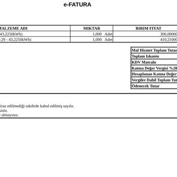 ZES Şarj İstasyonunda Blokaj Ücreti Ve Müşteri Memnuniyetsizliği