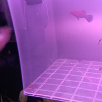 Kalitesiz Ürün Ve Yetersiz Müşteri Hizmeti