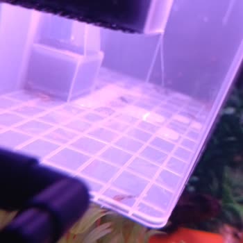 Kalitesiz Ürün Ve Yetersiz Müşteri Hizmeti