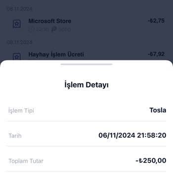 Tosla Uygulamasında Bakiye Ve Hesap Erişim Sorunu