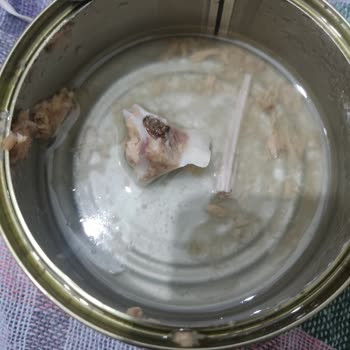 Dardanel Ton Balığı Ürününde Güvenlik Endişesi