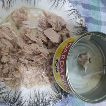 Dardanel Ton Balığı Ürününde Güvenlik Endişesi